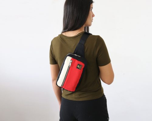 Modelo F - Versión Loica