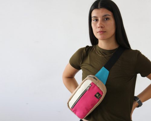 Modelo F - Versión Picaflor del Norte