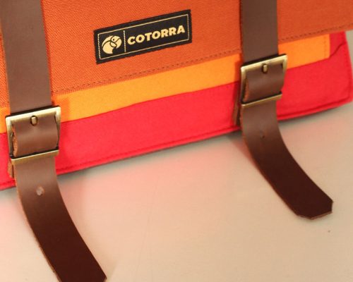 Modelo Mini C - Picaflor de Juan Fernández
