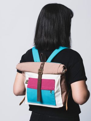 Modelo Mini A - Picaflor del norte
