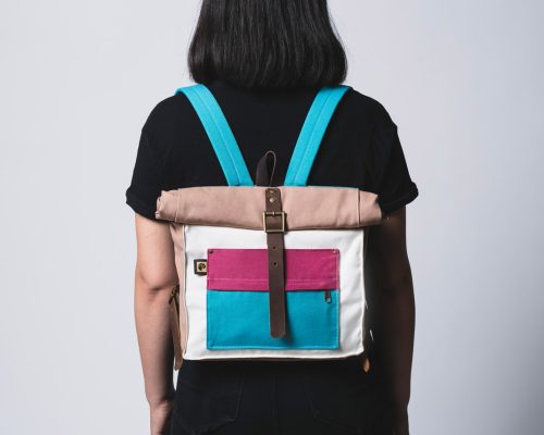 Modelo Mini A - Picaflor del norte