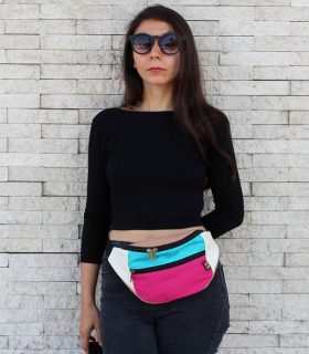 picaflor del norte_1